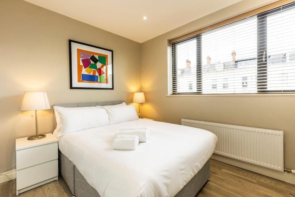 The Matisse- 10 Min Walk To / Trendy 1 Bd Apartment Belfast